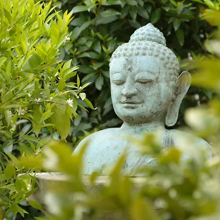 호텔 Barleben Am 3*